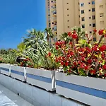 Hipocampo 25-a *
