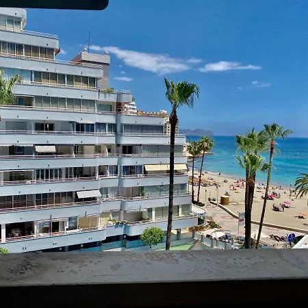 Hipocampo 25-a * Calp