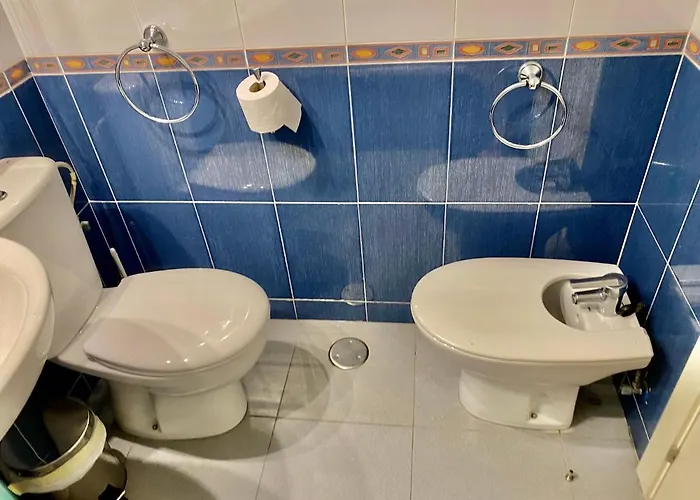 Hipocampo 25-a * Calpe