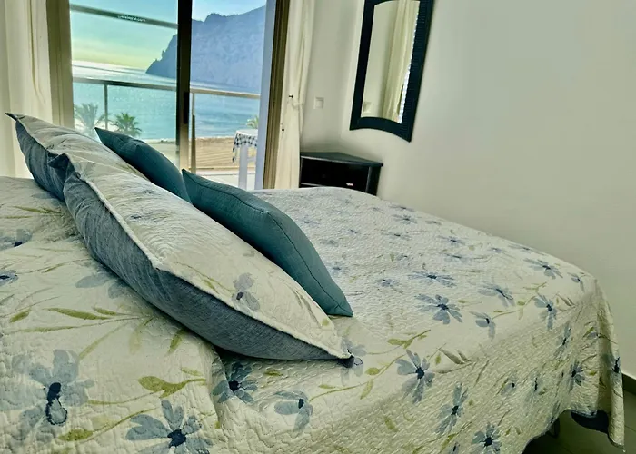 Hipocampo 25-a Calpe